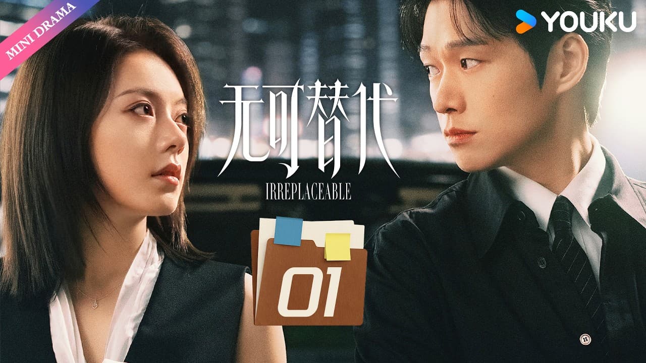 无可替代 (全24集分集版)